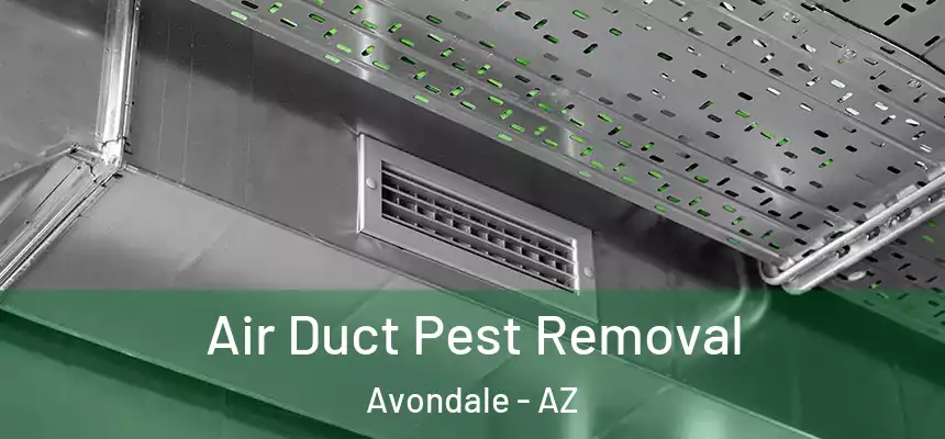 Air Duct Pest Removal Avondale - AZ