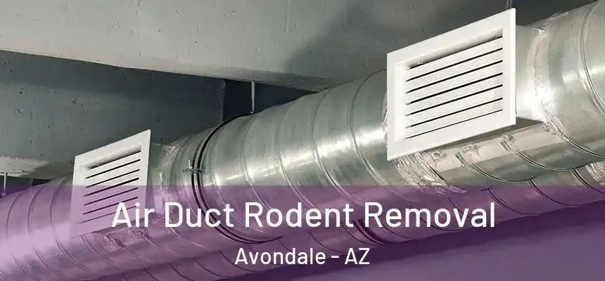 Air Duct Rodent Removal Avondale - AZ