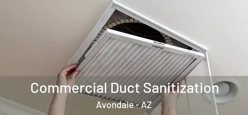 Commercial Duct Sanitization Avondale - AZ