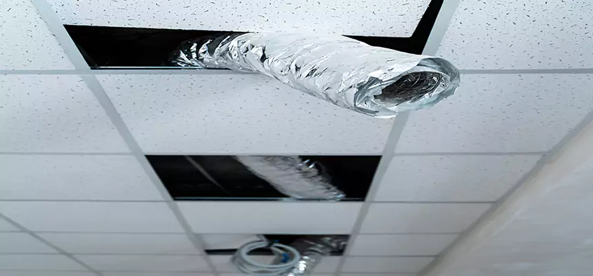 Affordable HVAC Sanitizing After Pest Removal in Avondale