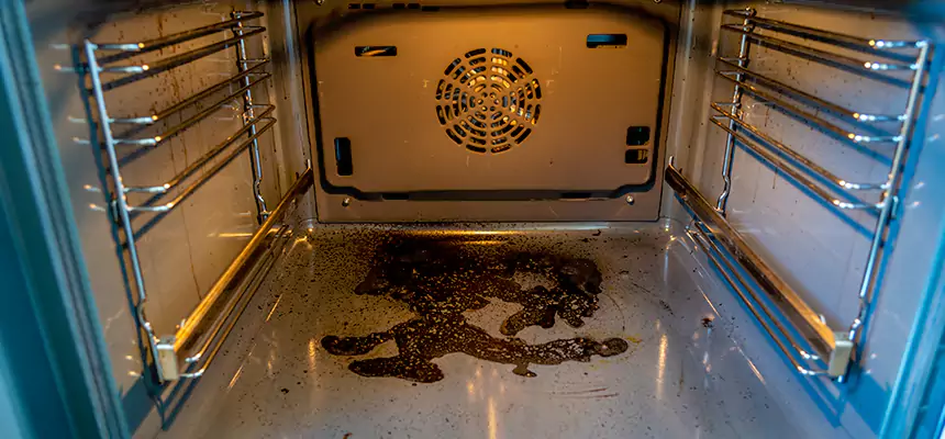 Our Dryer Vent Mold Cleaning Services in Avondale, AZ