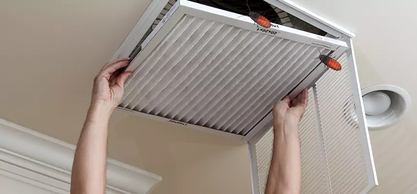 Our Insect Removal from Air Ducts Services in Avondale, AZ