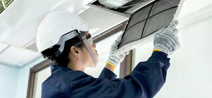 Our Mold & Mildew Removal from Air Ducts Services in Avondale, AZ