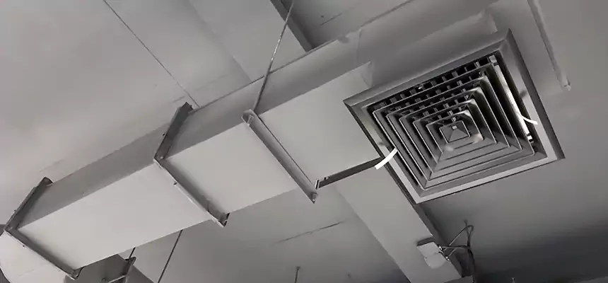 Our Pest Removal From Ducts Services in Avondale, AZ