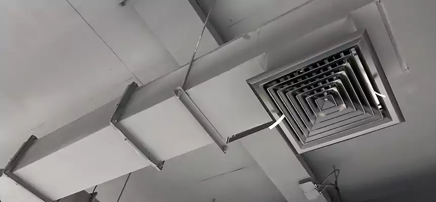 Our Rodent Droppings In Vents Services in Avondale, AZ