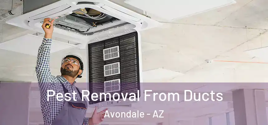 Pest Removal From Ducts Avondale - AZ