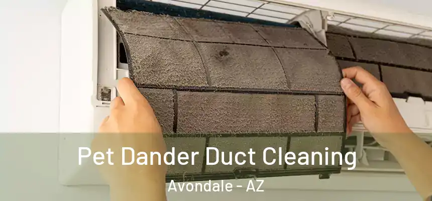 Pet Dander Duct Cleaning Avondale - AZ