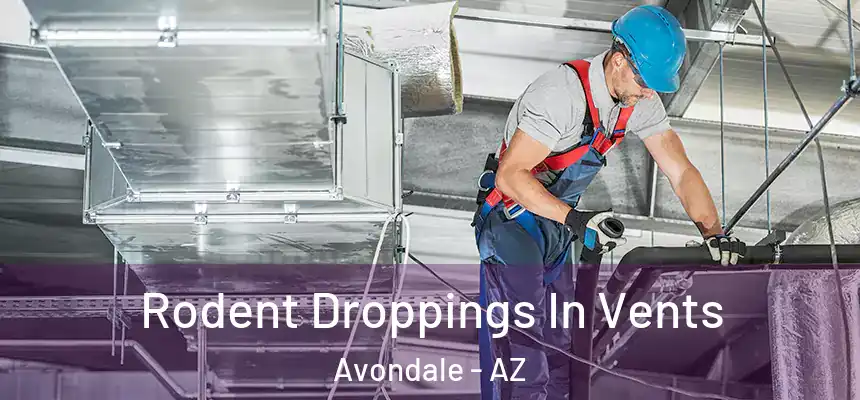 Rodent Droppings In Vents Avondale - AZ
