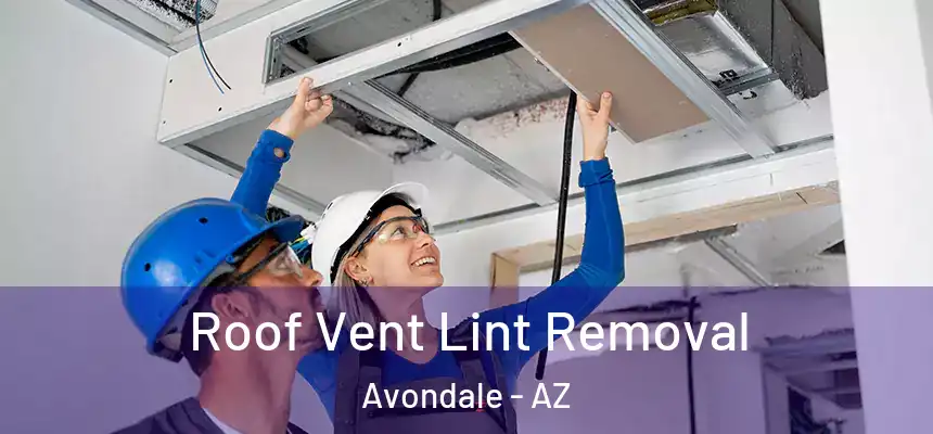 Roof Vent Lint Removal Avondale - AZ