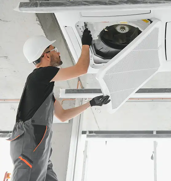 About Air Duct Rodent Removal in Avondale, AZ