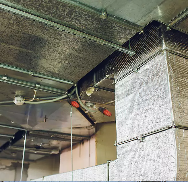 Why Homeowners & Businesses Trust Us in Avondale, AZ?