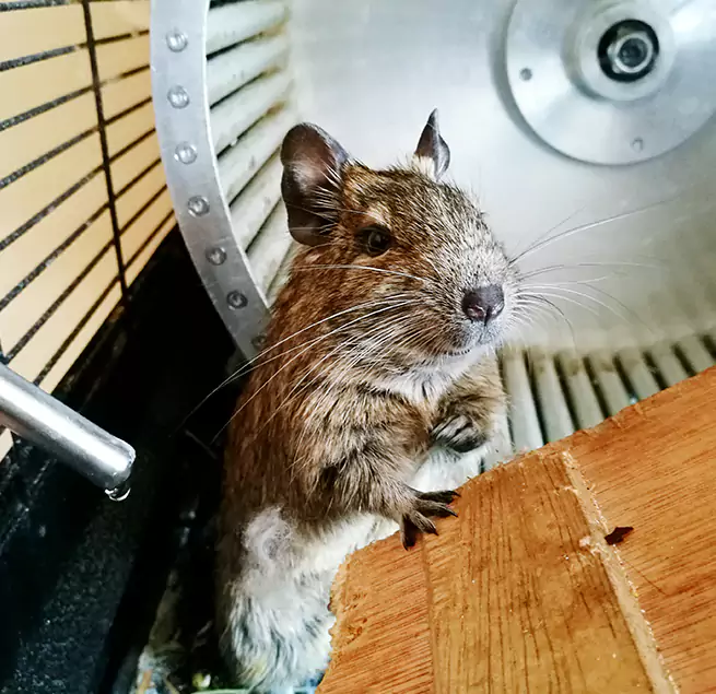 Why Homeowners & Businesses Trust Us Avondale, AZ?