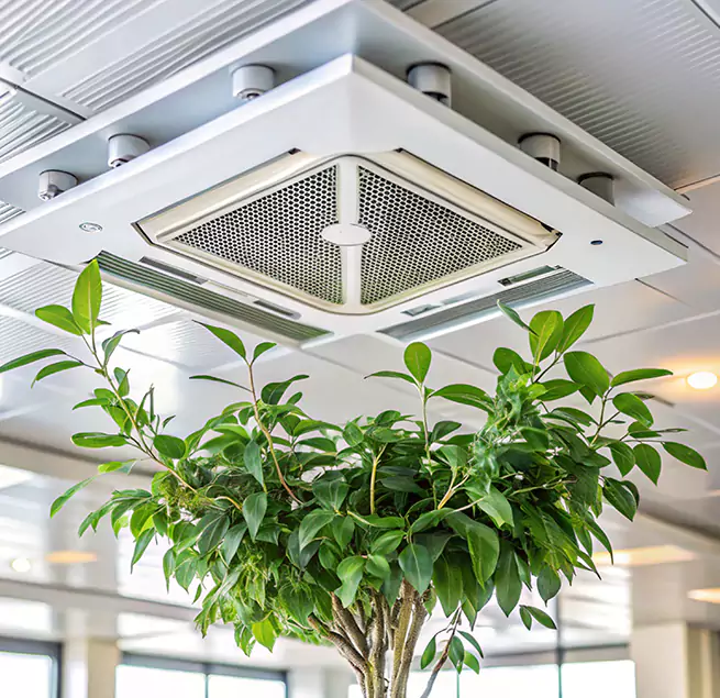 Why Homeowners & Businesses Trust Us in Avondale, AZ?