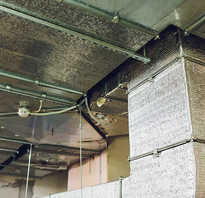 Why Homeowners & Businesses Trust Us in Avondale, AZ?