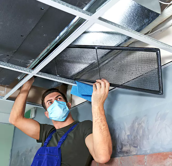 Why Homeowners Businesses Trust Us in Avondale, AZ?